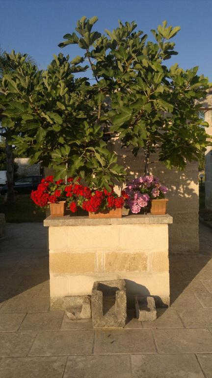 Masseria Grande Hotel Torre dell'Orso Eksteriør billede